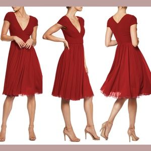 NWT Dress the Population [ XXS ] Corey Chiffon Fit‎ & Flare Dress Garnet
